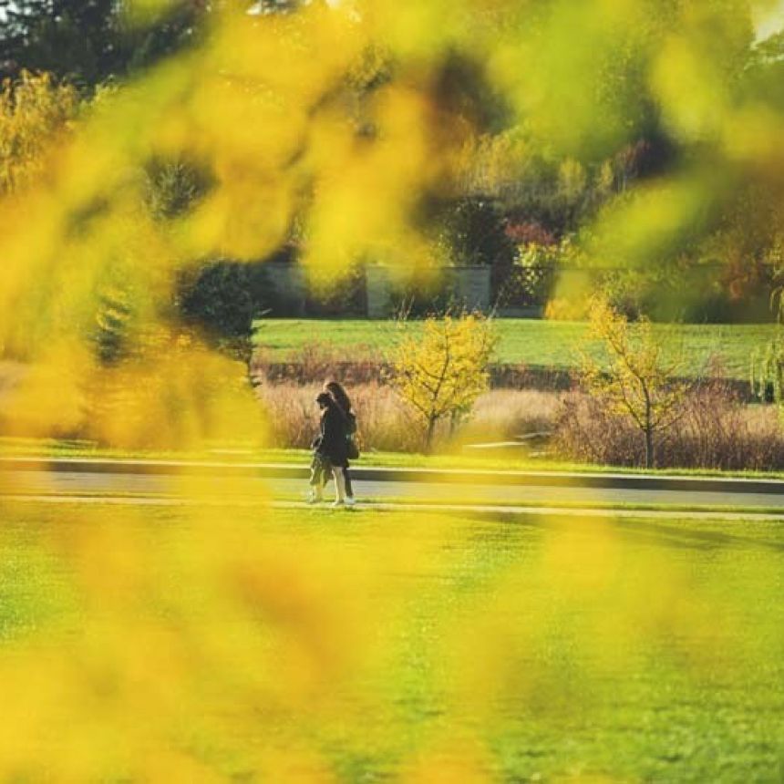 person walking is visible in distance, viewed through yellow foliage.