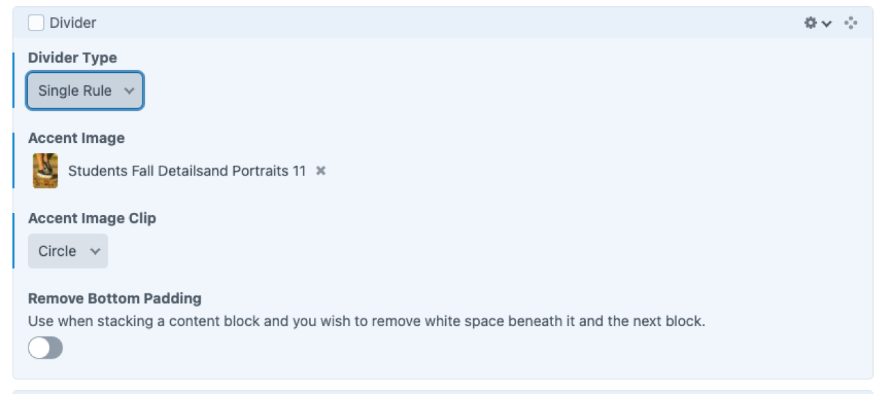 screenshot of Divider block in Admin UI