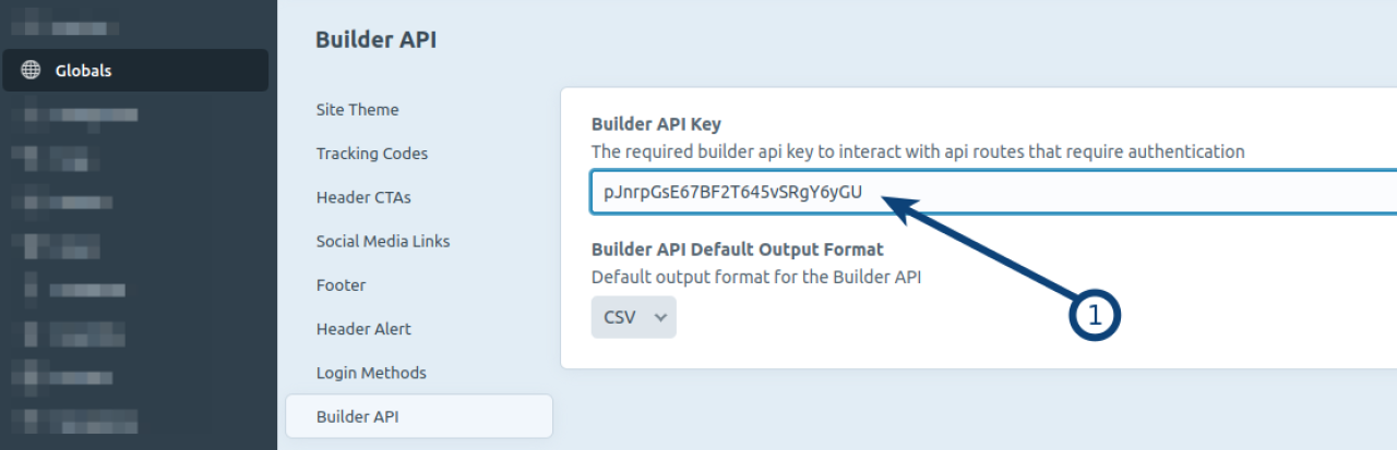 Screenshot of Globals > Builder API Key screen